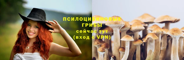 кокс Киреевск